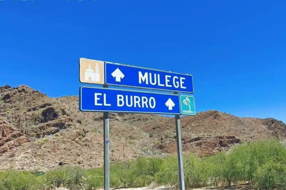 MULEGÉ